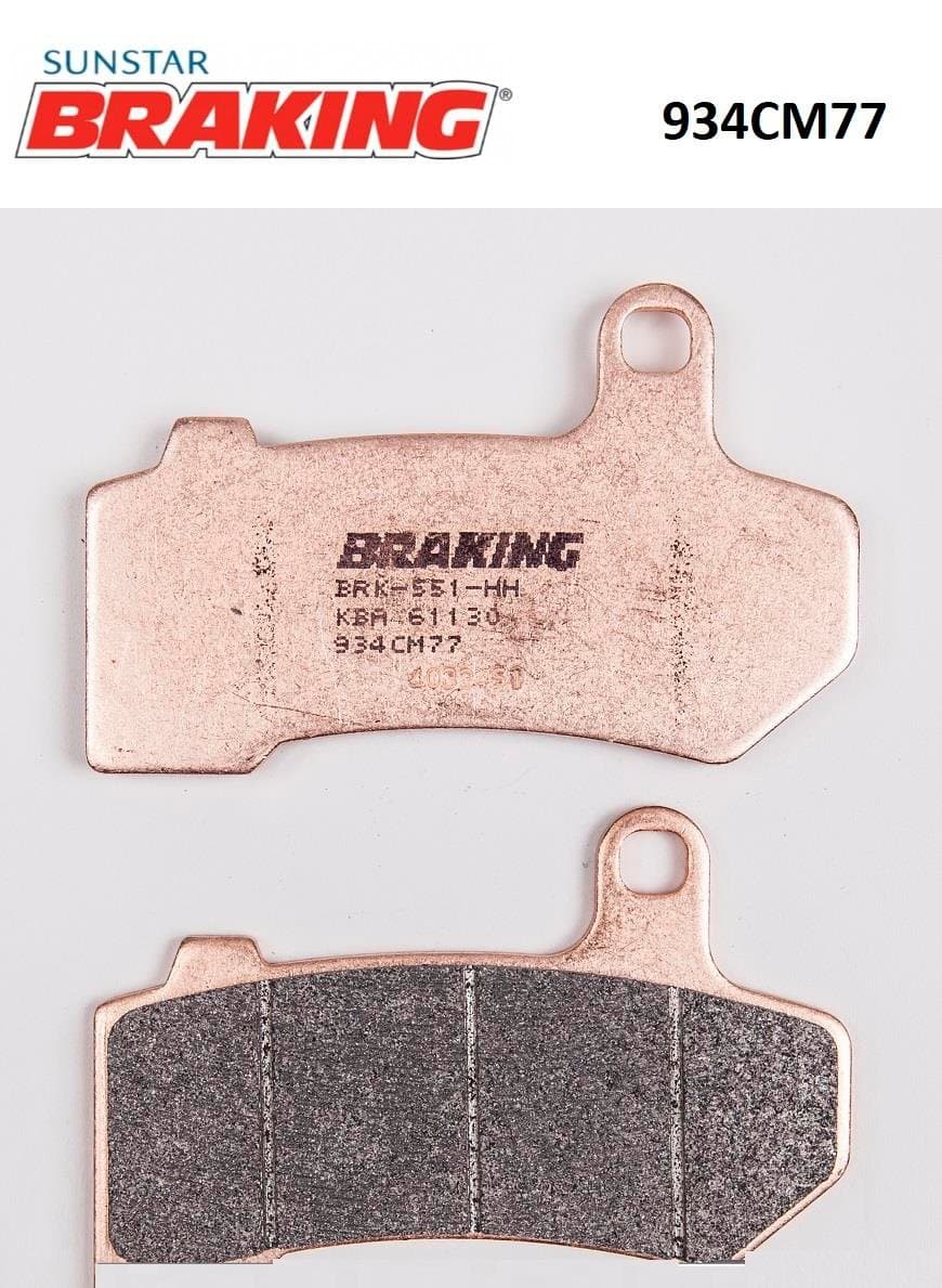Harley-Davidson Touring Fren Balatası